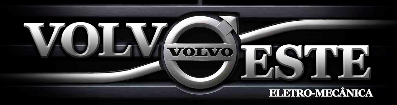 Parceiro(a) Volvo Este